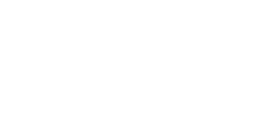 Wingfan logo